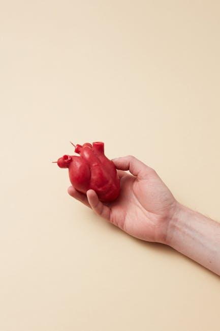 Cuore artificiale di nuova generazione: la rivoluzione della stampa 3D per un ciclo cardiaco naturale