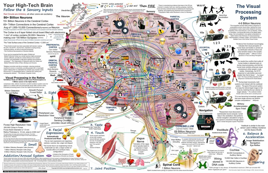 Le rivoluzionarie mappe cerebrali: come il connetoma sta trasformando le terapie per le malattie del cervello