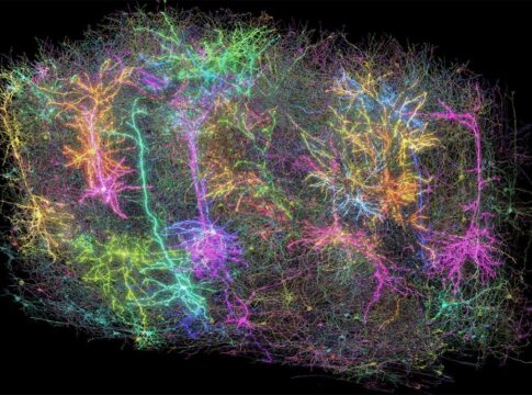 La rivoluzione nella mappatura cerebrale: come la scienza sta ridefinendo la nostra comprensione della mente